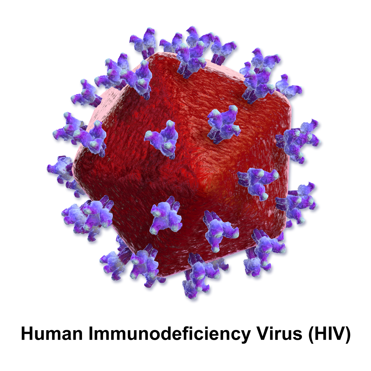 HIV-targeting antibodies offer an alternative approach to current HIV treatment, which has toxic side effects