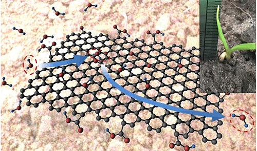 Magic or Malice? Assessing the Environmental Impacts of Graphene-Based Materials